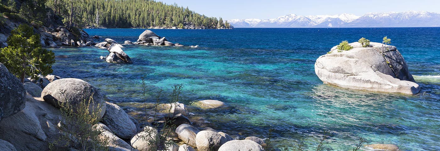 Gaffney Healing Acupuncture & Herbs