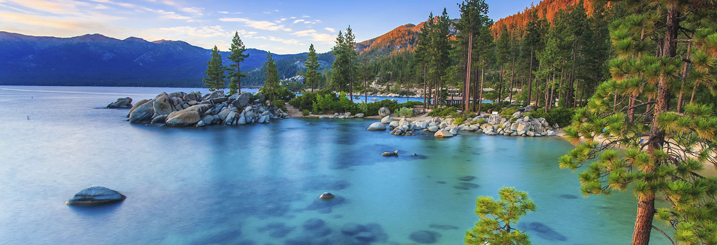 Gaffney Healing Acupuncture & Herbs