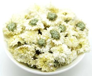 chrysanthemum Chinese herbs